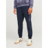 Pantalons Homme Jack & Jones Jpstgordon Jjalvis Sweat Pants Naf Navy Blazer