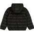 Veste Champion Homme Veste à capuche noire