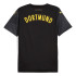 T-shirt Homme Puma Visitor Replica Borussia Dortmund 24/25 Away Grey/Yellow