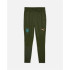 Pantalons Homme Puma Manchester City Training Green