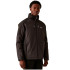 Veste Montagne Regatta de WintrcalderdaleII Homme