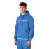 Sweat Champion Sweat à capuche Homme