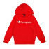 Sweat Champion Sweat à capuche Homme