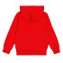 Sweat Champion Sweat à capuche Homme