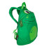 Sac à dos Regatta Roary Animal BkPk Vert