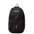 Sac à dos Regatta Bedabase II 15L Noir