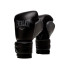 Gants boxes Trainning de Everlast Powerlock 2 Noir