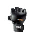 Boxes Gants de Everlast Titan Mma Glove Noir