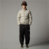 Veste Montagne The North Face par Hydrenalite Down Clay Grey Homme