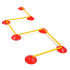 Set Support Zastor 50 Cônes Avec Piques Ag-505C Orange/Rouge/Jaune/Vert/Bleu Pack