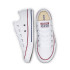 Chaussures Converse Chuck Taylor All Star Seasonal Blanc Enfant