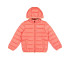 Veste Champion Veste à capuche Homme