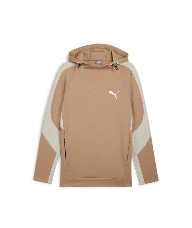 Sweat Décontracté Puma Evostripe Hoodie Dk Homme