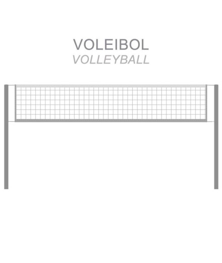Volley-ball Réseau d'experts Enebe