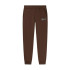 Pantalon Décontracté Puma Essentials+ Graphic Fl Homme