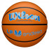 Balle basket-ball Wilson de Evo Nxt Game