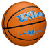 Balle basket-ball Wilson de Evo Nxt Game