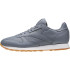Chaussures Sportswear Reebok Classic Cuir classique PG Asteroid