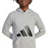 Sweat adidas French Terry Enfant Big Logo Hd Grey