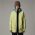 Veste The North Face Homme de Snow Balfron Ortie/Algae Blue