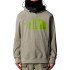 Sweat The North Face Homme by Snow Tekno Logo Gris