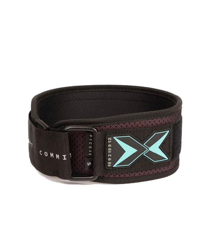Ceinture Fitness de Picsil Weightlifting Belt...