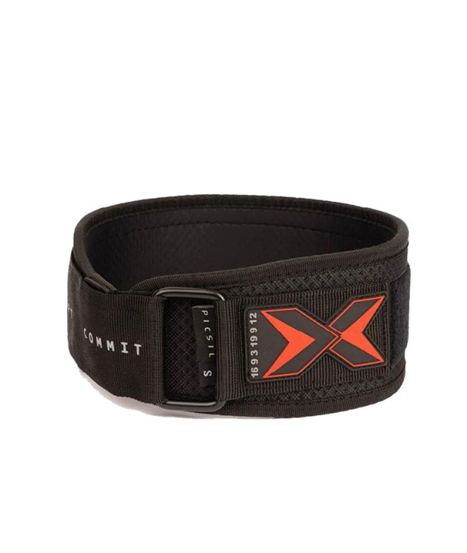 Ceinture Fitness de Picsil Weightlifting Belt...