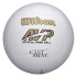 Balle Volley-ball Wilson de Castaway