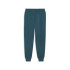 Pantalon Décontracté Homme Puma Essentials+ 2 Col Logo Pants Fl Cl Cold Green