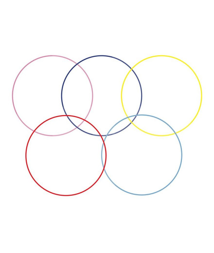 Roue Gymnastique rythmique Gala 75Cm Enebe