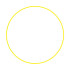 Roue Gymnastique rythmique Gala 75Cm Enebe