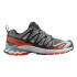Chaussures Trail Salomon de Xa Pro 3D V9 Castlerock/Black/Burnt Ochre Homme
