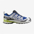 Chaussures Trail Salomon de Xa Pro 3D V9 Bleu nautique/Alloy/Citron foncé Homme