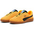 Chaussures Handball de Puma Handball