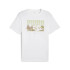 T-shirt Homme Puma Graphics Mountain Tee Blanc