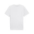 T-shirt Homme Puma Graphics Mountain Tee Blanc