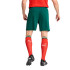 Pantalons Football Homme de Puma Portugal 25 Replica Green