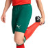 Pantalons Football Homme de Puma Portugal 25 Replica Green