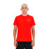 T-shirt New Balance Homme Sport Essentials Nef