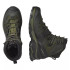 Botas de Montagne Salomon Quest 4 Gore-Tex Vert/Tan Homme
