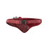 Ceinture Running Salomon de Active 3D Bottle High Risk Rouge/Rouge