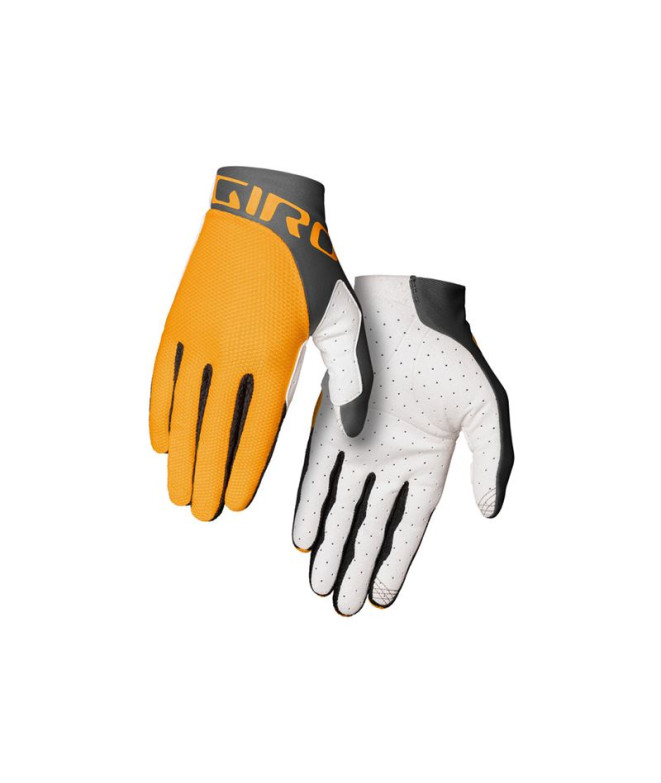 Gants Cyclisme de Giro Trixter Grey...