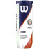 Balles Tennis Wilson de Roland Garros Clay Ct 3 Ball Yellow