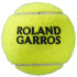 Balles Tennis Wilson de Roland Garros Clay Ct 3 Ball Yellow