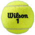 Balles Tennis Wilson de Roland Garros Clay Ct 3 Ball Yellow