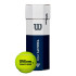 Balles Tennis Wilson by Triniti Pro Tball 3 Ball Can Yellow