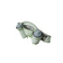 Ceinture Trail Salomon de Cross 2 Bouteilles Milieu Vert/Agave G