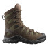 Chaussures Salomon Quest Tracker High Gtx Earthbee Earth Brown/Ranger