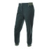 Pantalon Trangoworld Femme Pin ponderosa/pin maritime de Long Fasnia