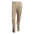 Pantalons Football adidas Homme de Squadra25 Tr Carpal/Noir